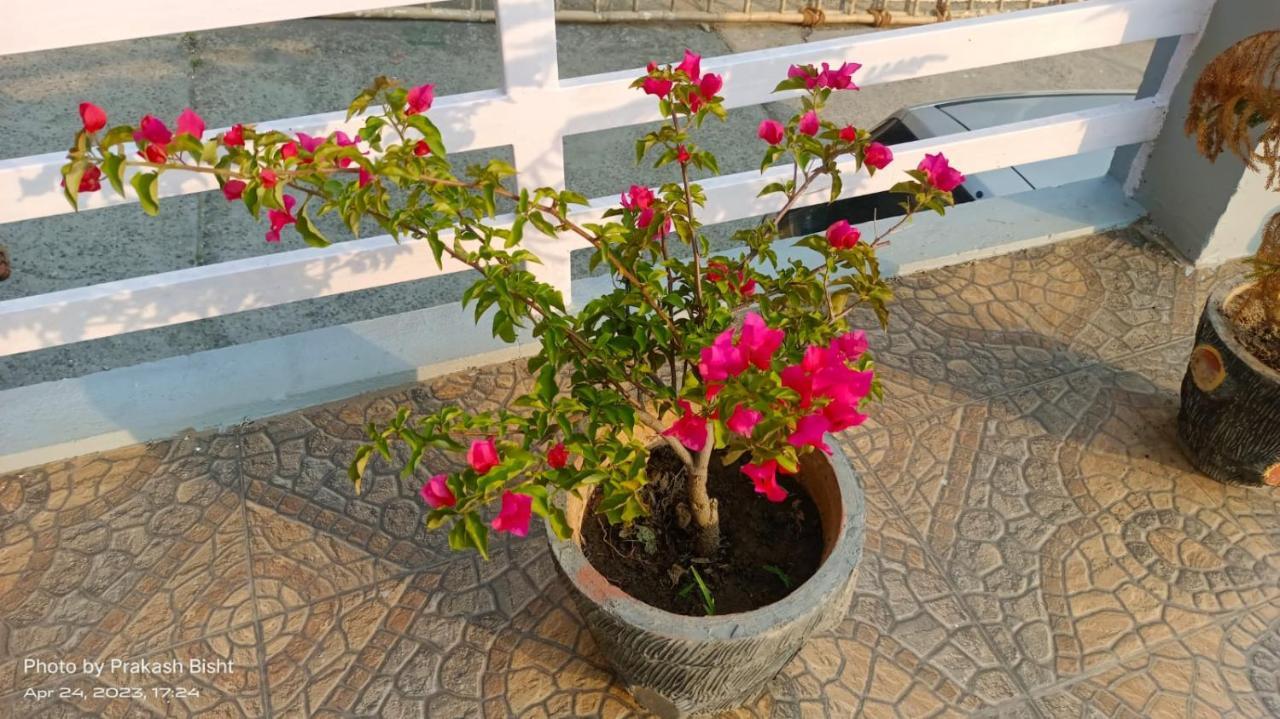 Shivalik River Retreat Алмора Екстериор снимка
